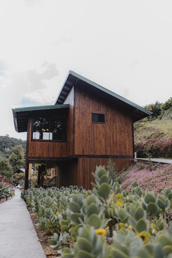 Lauraceas Lodge سان جيراردو دو دوتا المظهر الخارجي الصورة