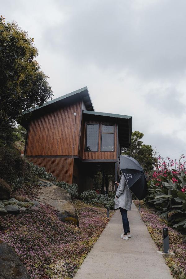 Lauraceas Lodge سان جيراردو دو دوتا المظهر الخارجي الصورة